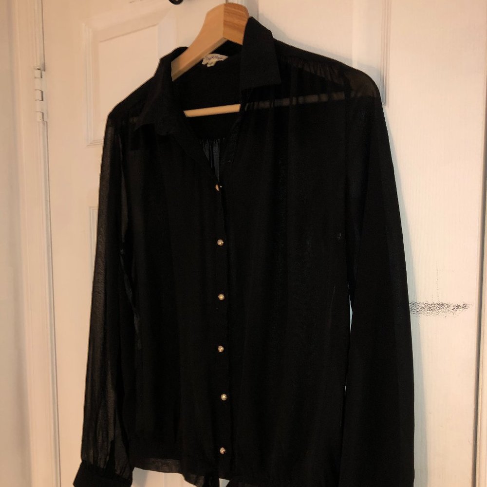 FINAL MARK DOWN SHEER LONGSLEEVED TOP